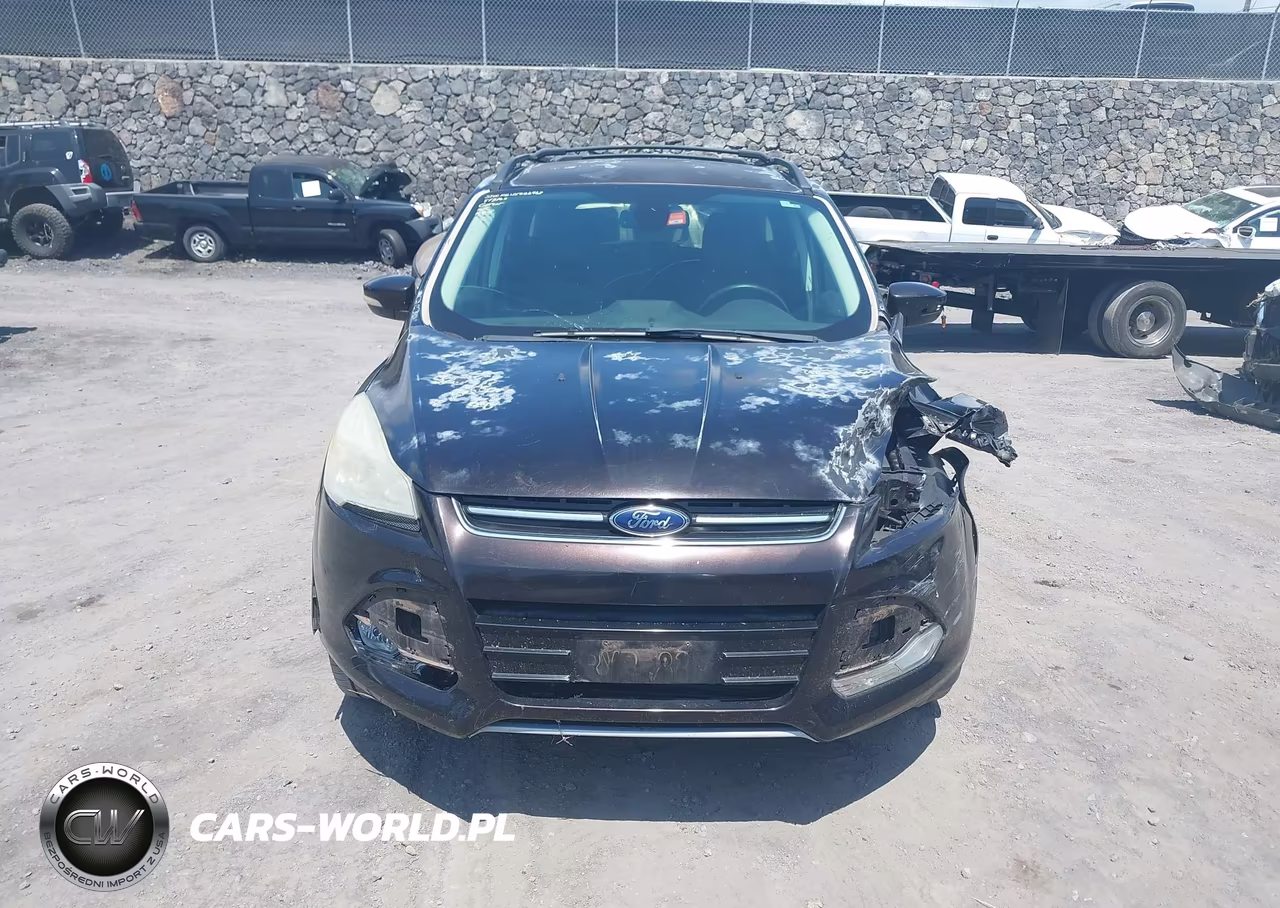 2013 Ford Escape Sel VIN:1FMCU0HX9DUC46641 - 12