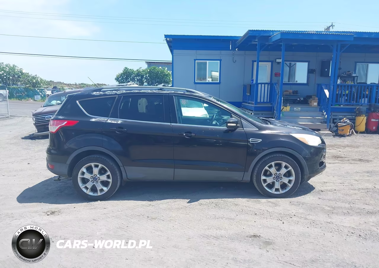 2013 Ford Escape Sel VIN:1FMCU0HX9DUC46641 - 13