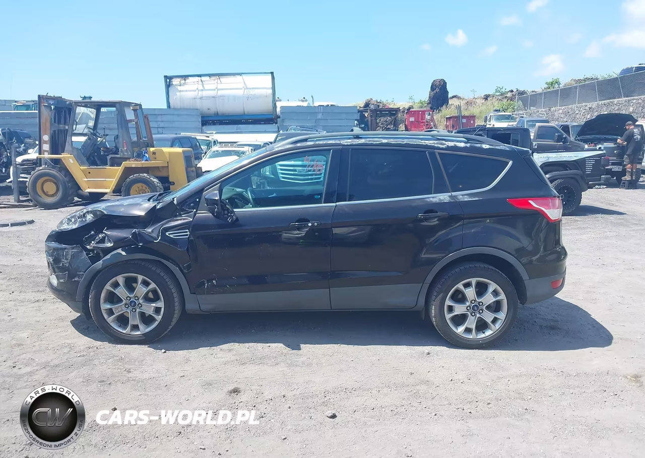 2013 Ford Escape Sel VIN:1FMCU0HX9DUC46641 - 14
