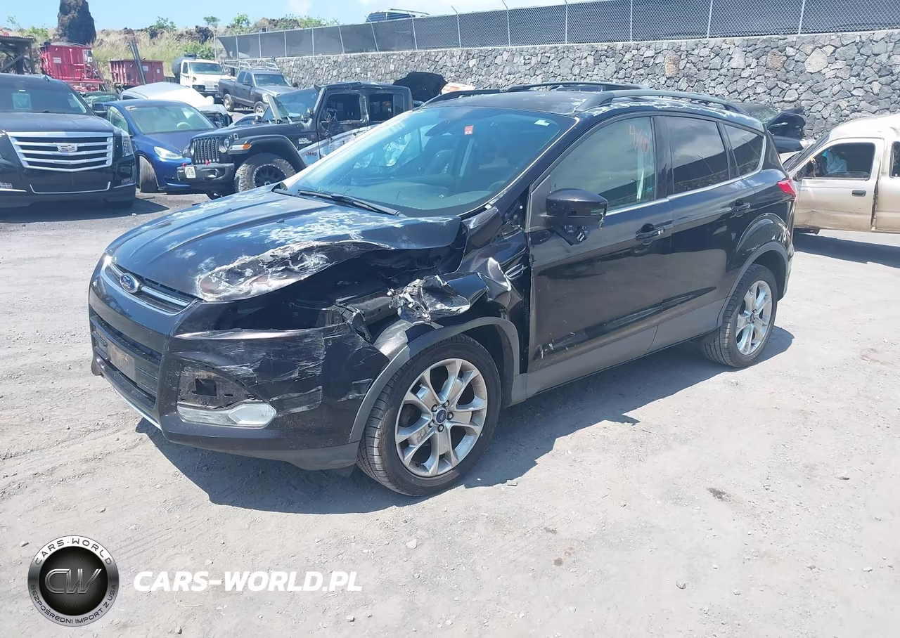 2013 Ford Escape Sel VIN:1FMCU0HX9DUC46641 - 2