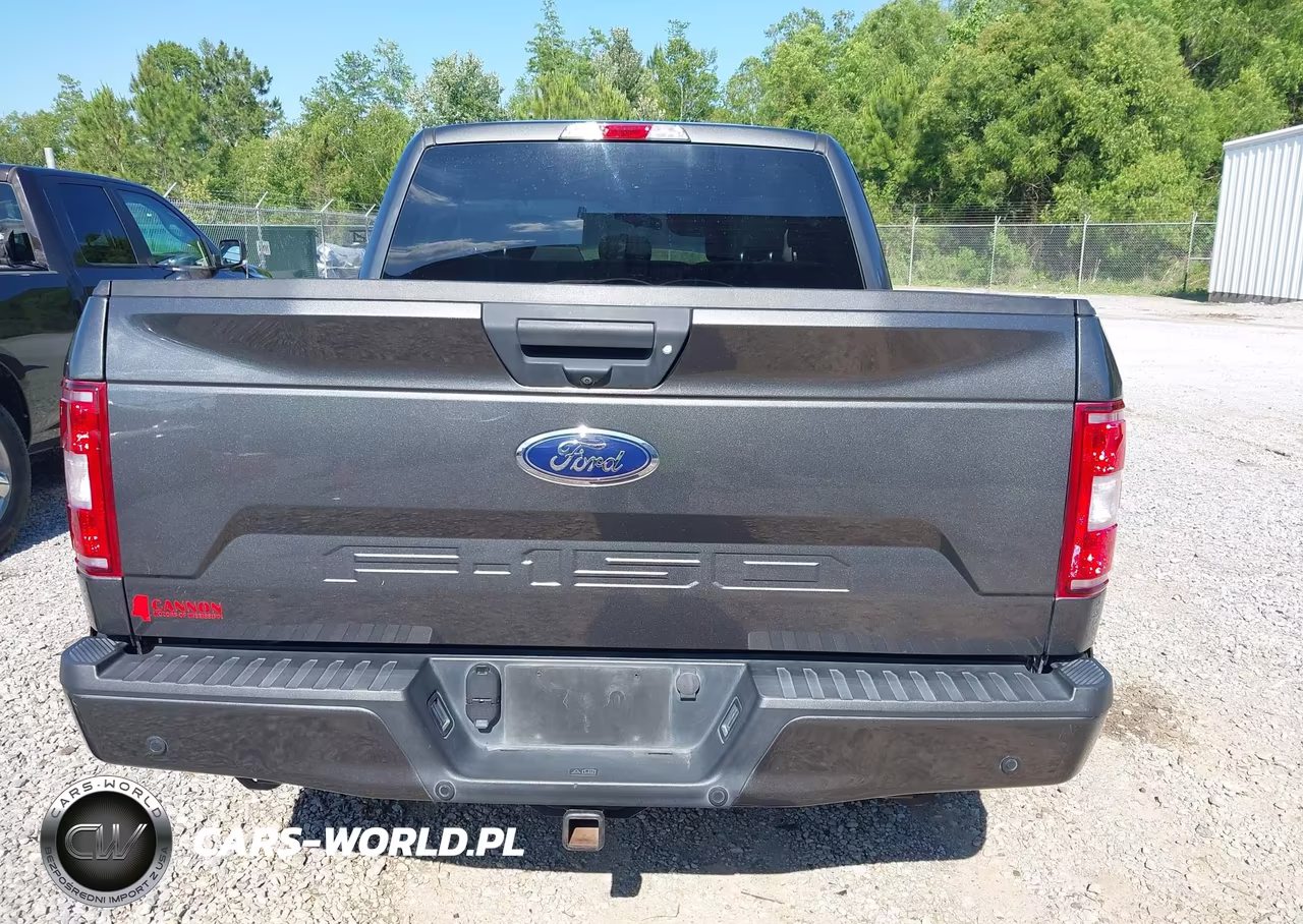 2020 Ford F-150 Xl VIN:1FTEW1C50LKF56559 - 16