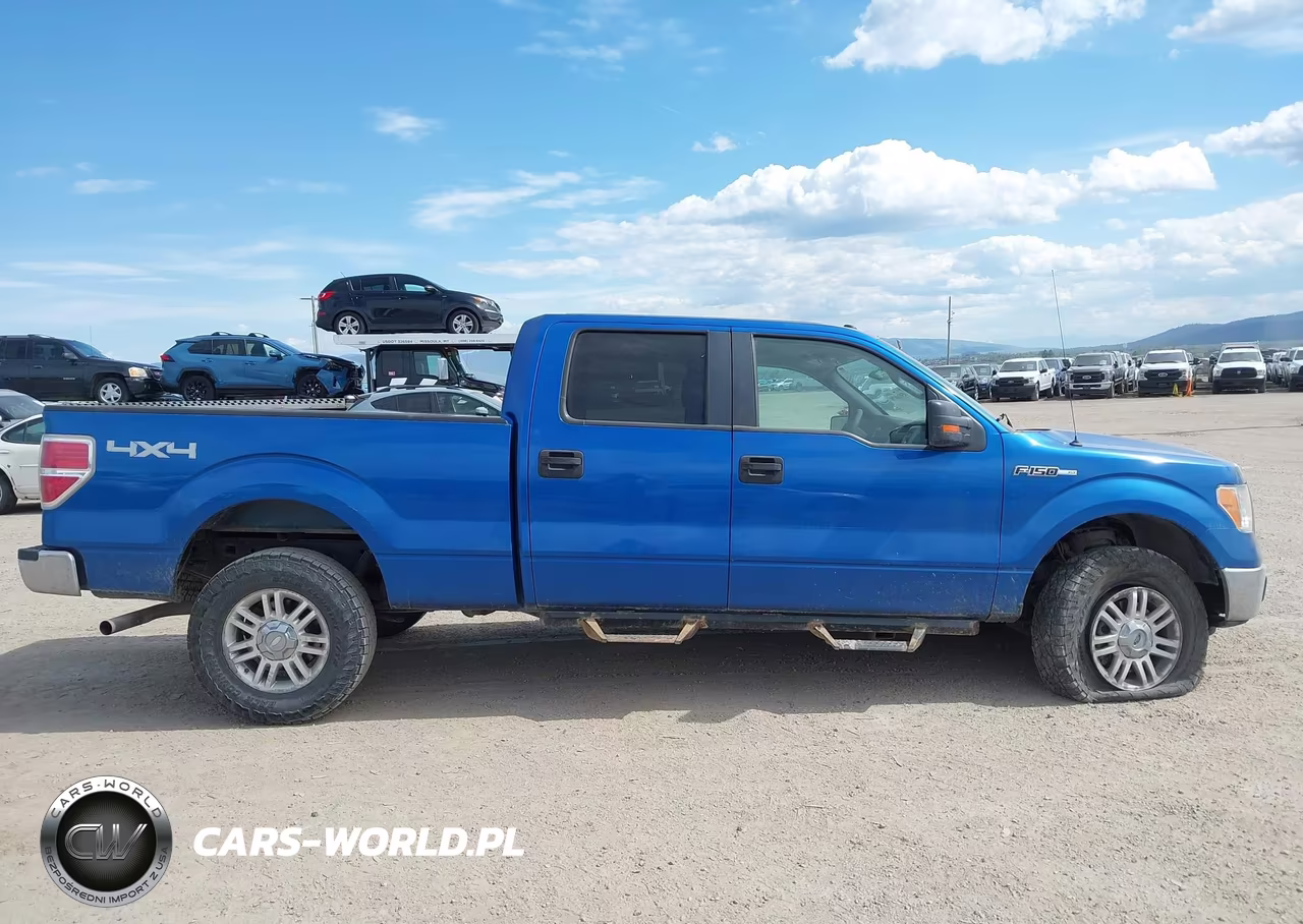 2010 Ford F-150 Xlt VIN:1FTFW1E85AFC36400 - 13