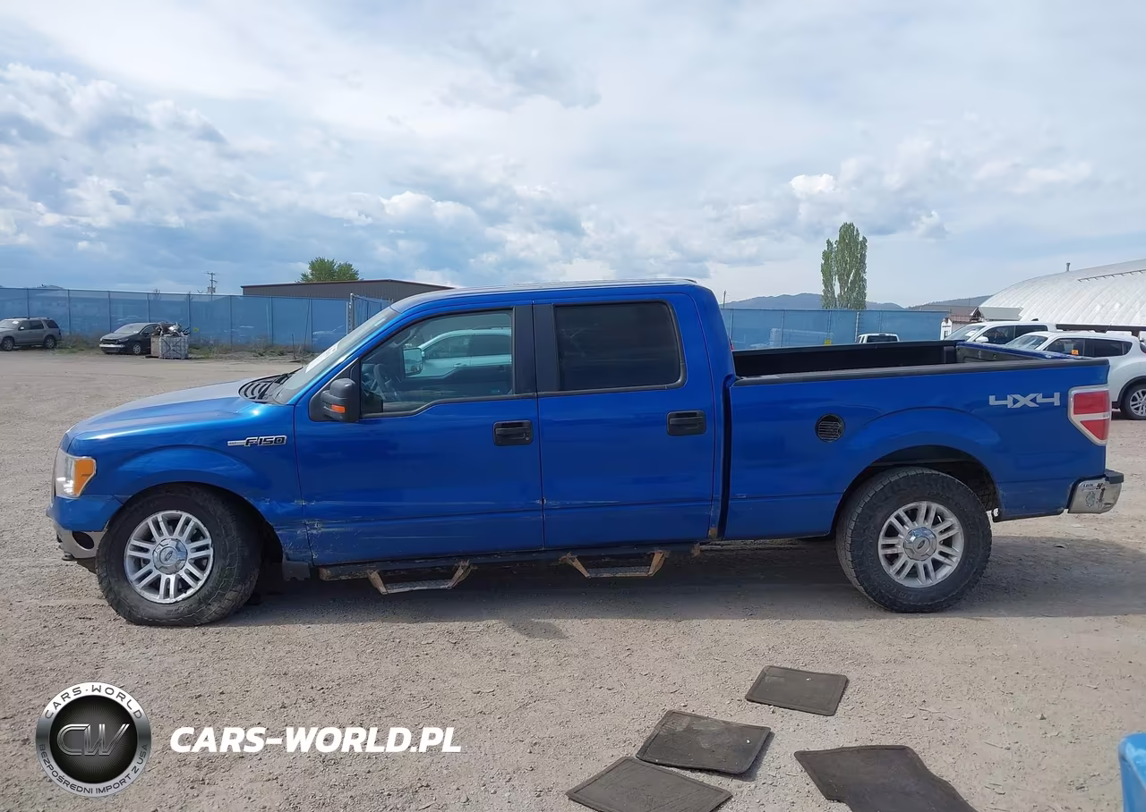 2010 Ford F-150 Xlt VIN:1FTFW1E85AFC36400 - 14