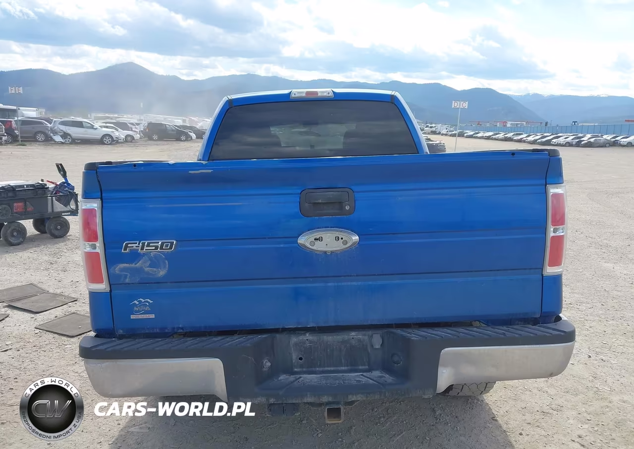 2010 Ford F-150 Xlt VIN:1FTFW1E85AFC36400 - 16