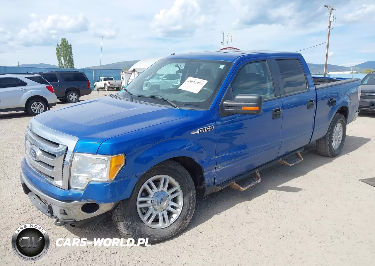 2010 Ford F-150 Xlt VIN:1FTFW1E85AFC36400 - 2