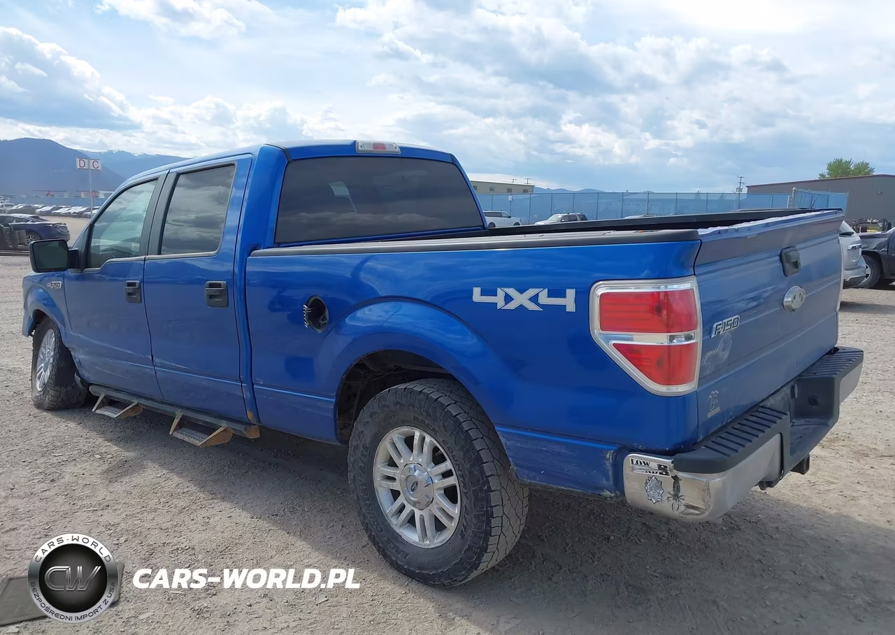 2010 Ford F-150 Xlt VIN:1FTFW1E85AFC36400 - 3