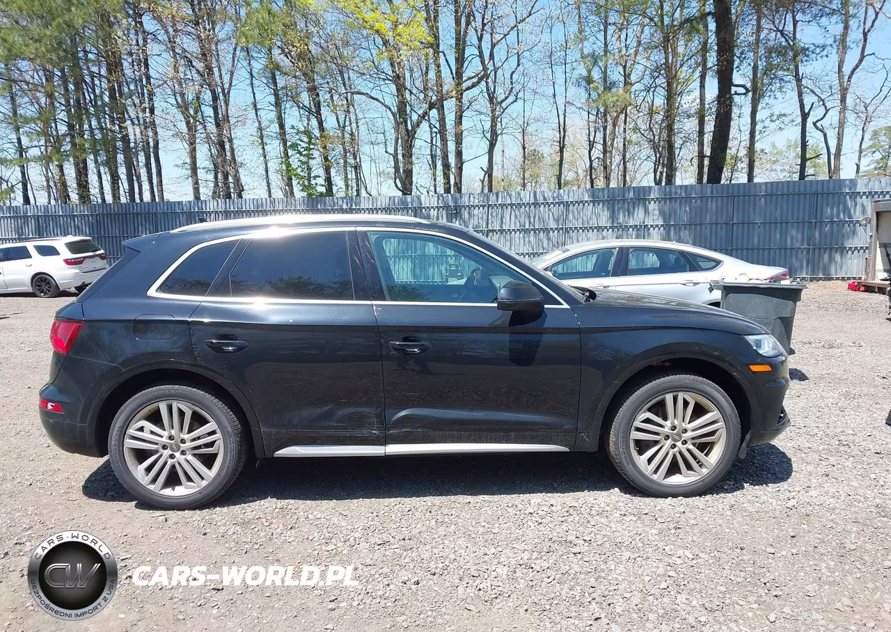 2018 Audi Q5 2.0T Premium-2.0T Tech Premium VIN:WA1BNAFY4J2029711 - 13