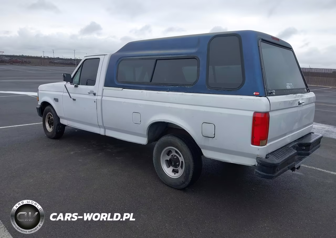 1995 Ford F150 VIN:1FTEF15Y1SLB20822 - 3