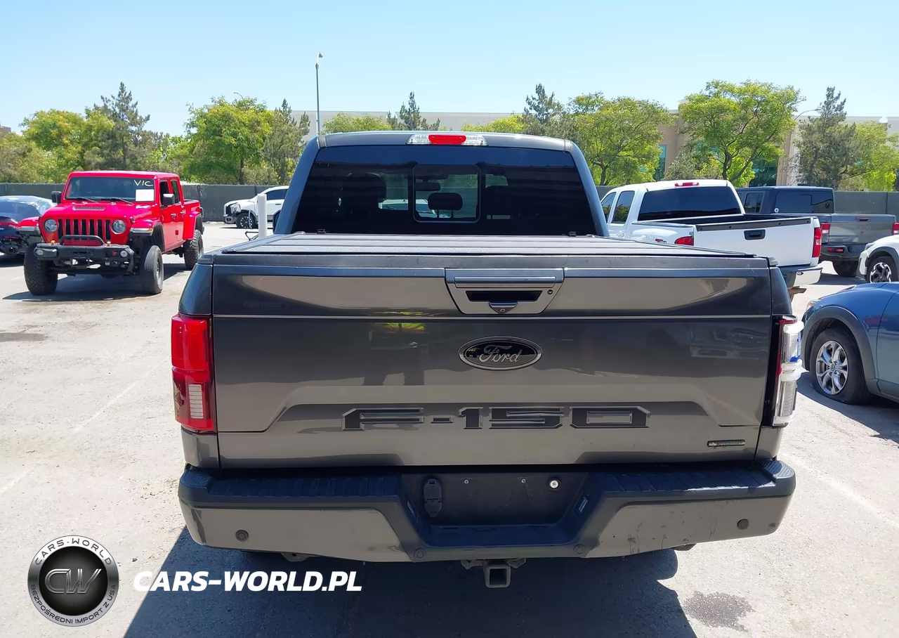 2020 Ford F-150 Lariat VIN:1FTEW1C4XLFB28207 - 16