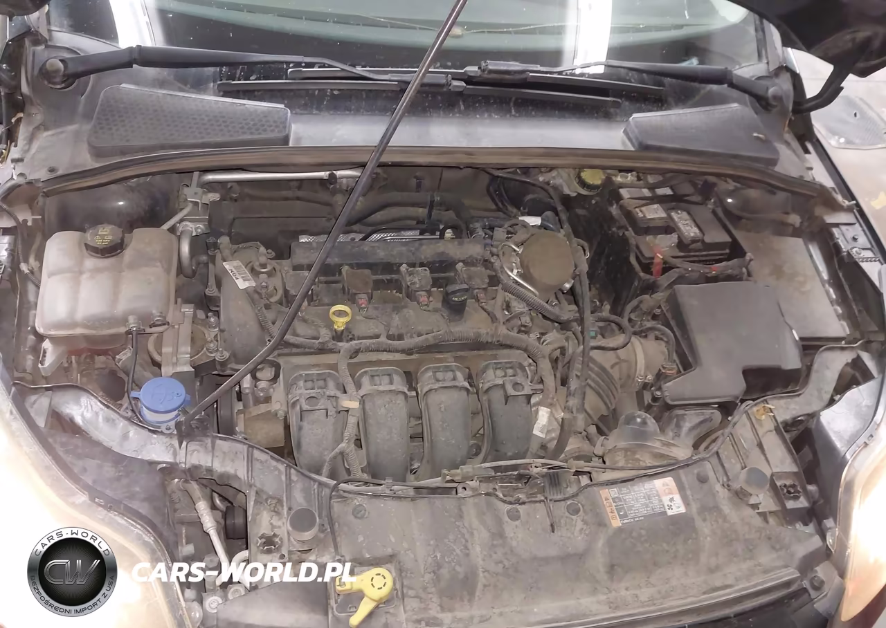 2014 Ford Focus Titanium VIN:1FADP3N22EL420931 - 10