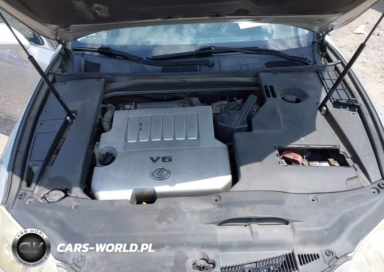 2009 Lexus Es 350 VIN:JTHBJ46G892298007 - 10