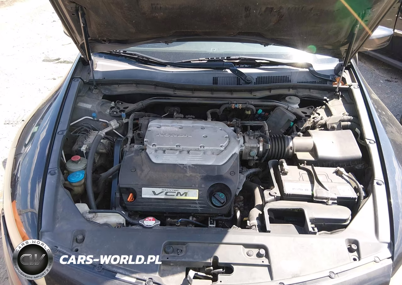 2009 Honda Accord 3.5 Ex-L VIN:1HGCS22849A001974 - 10