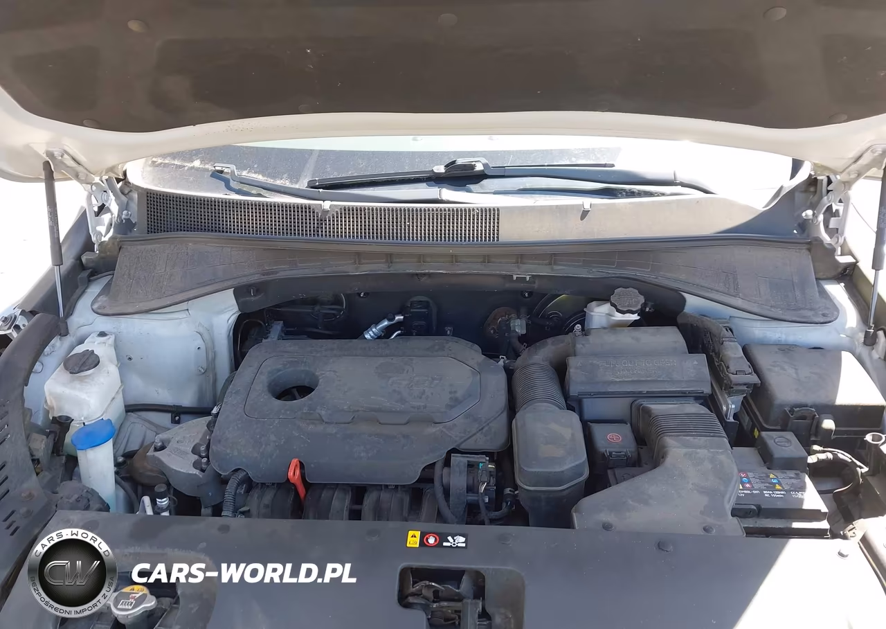 2019 Kia Sorento 2.4L Lx VIN:5XYPGDA39KG574670 - 10