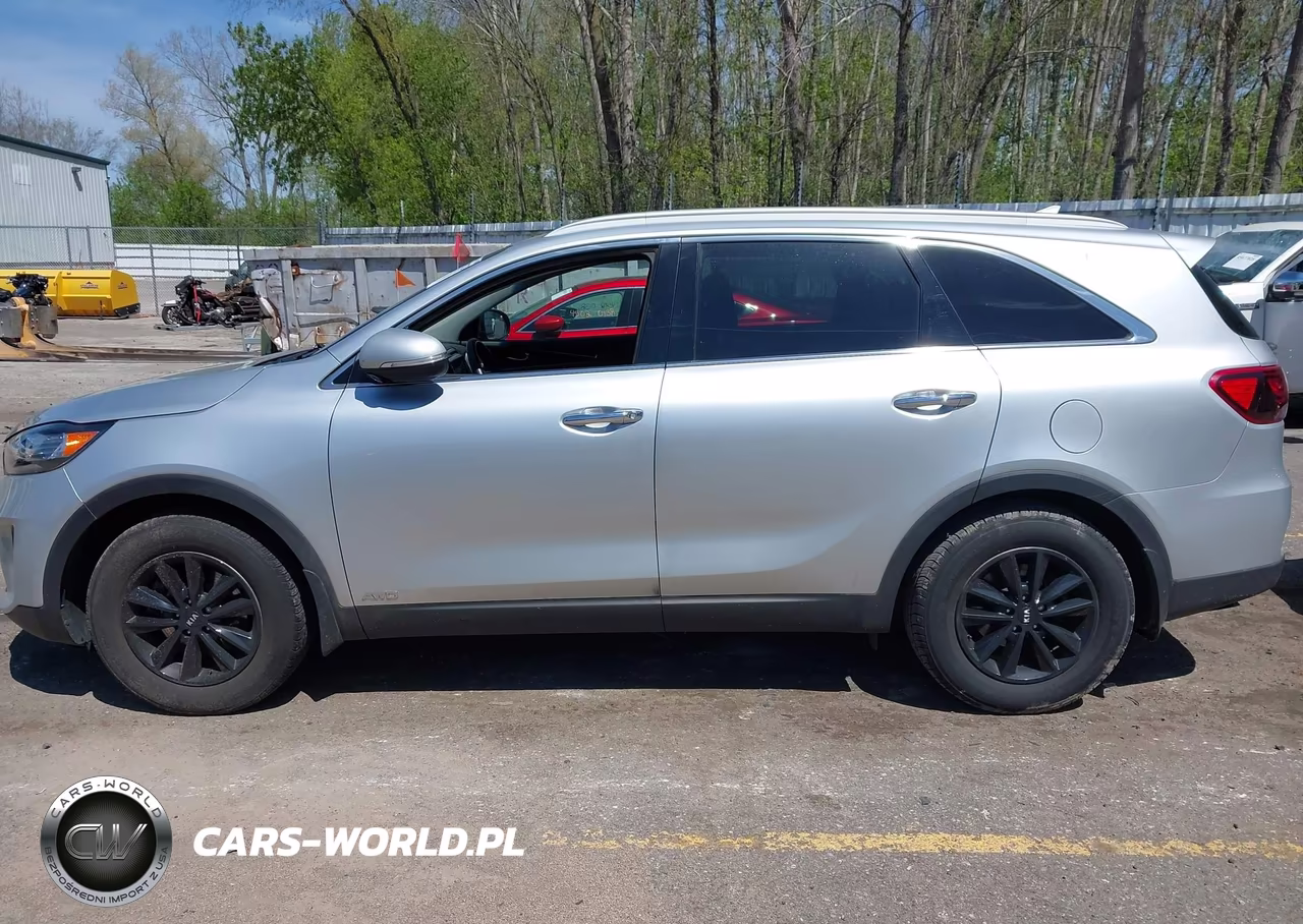 2019 Kia Sorento 2.4L Lx VIN:5XYPGDA39KG574670 - 14