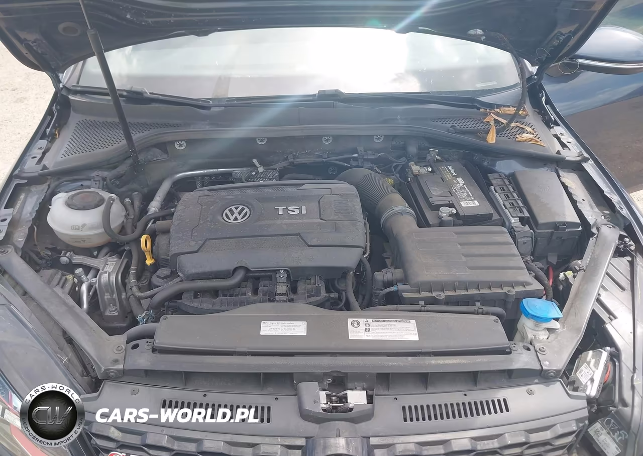 2019 Volkswagen Golf Gti 2.0T Autobahn-2.0T Rabbit Edition-2.0T S-2.0T Se VIN:3VW6T7AU3KM028304 - 10