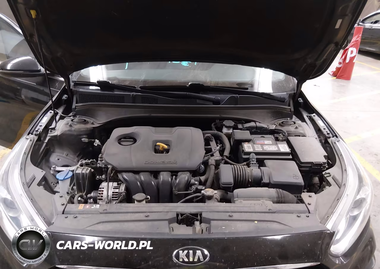 2021 Kia Forte Ex VIN:3KPF54AD9ME308057 - 10
