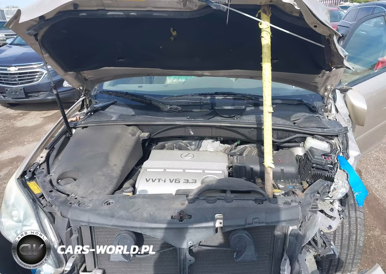 2004 Lexus Rx 330 VIN:JTJGA31U340024777 - 10