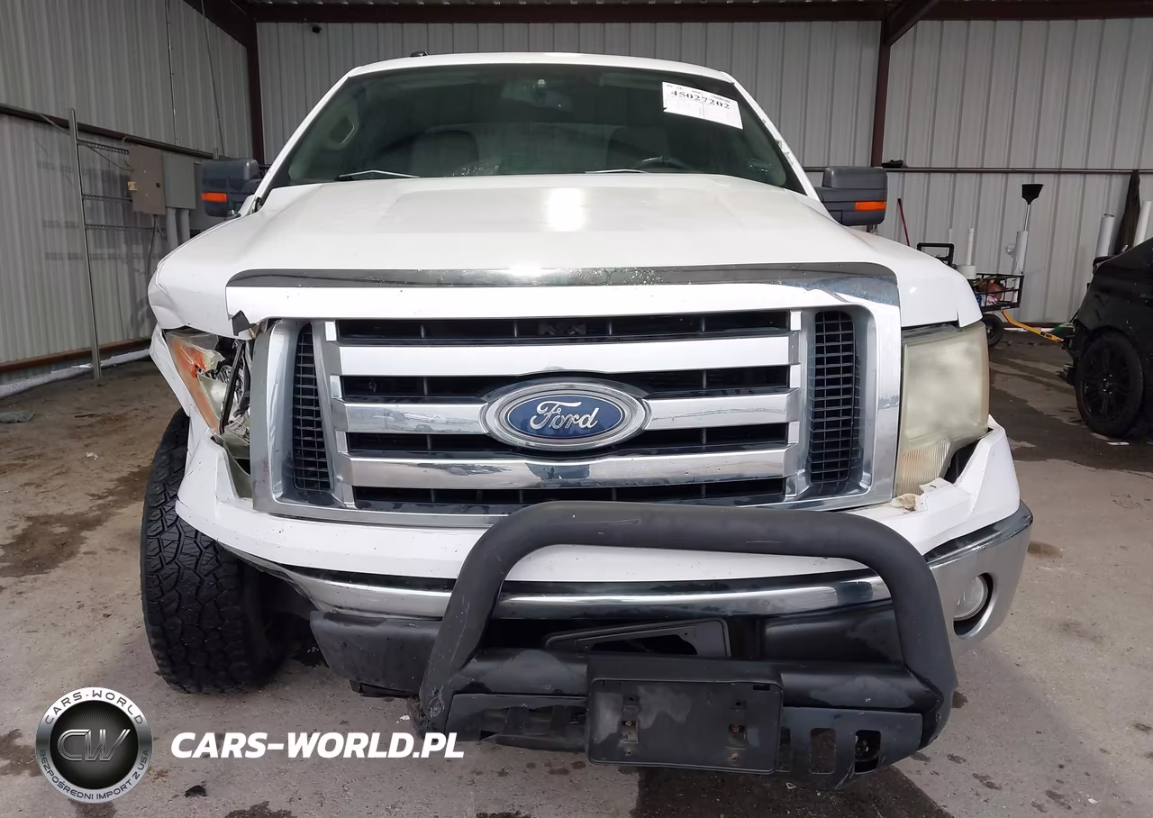 2010 Ford F-150 Stx-Xl-Xlt VIN:1FTEX1E87AFC65633 - 12