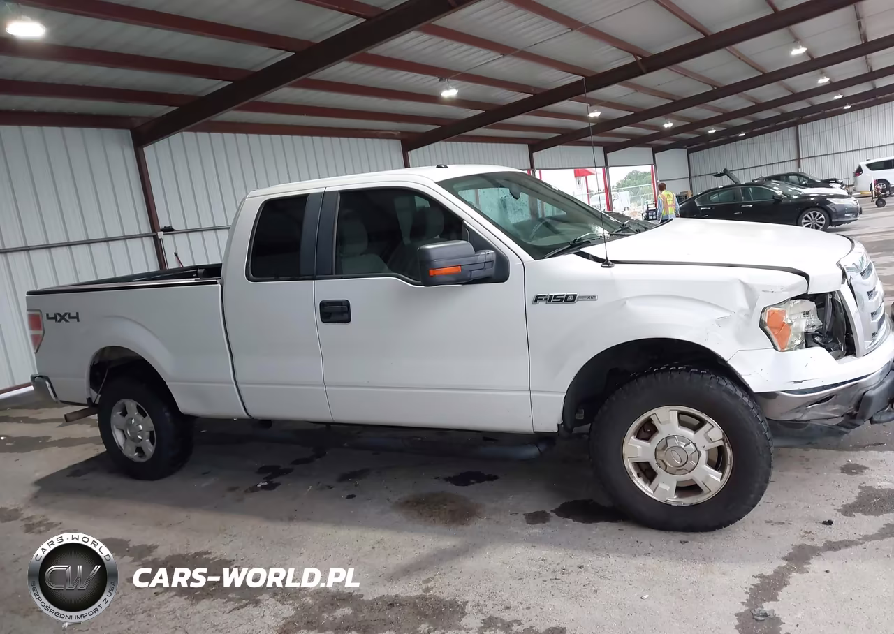2010 Ford F-150 Stx-Xl-Xlt VIN:1FTEX1E87AFC65633 - 13