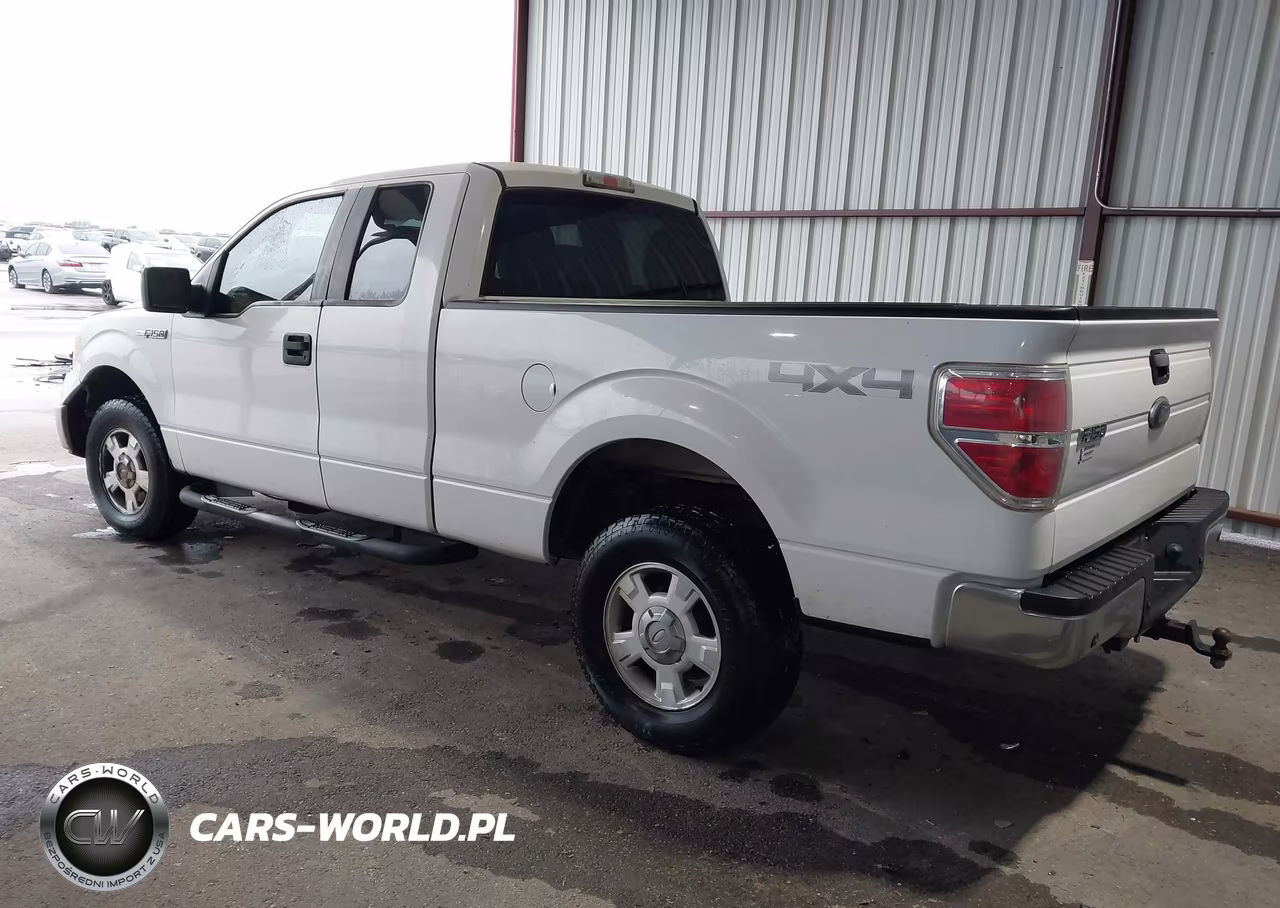 2010 Ford F-150 Stx-Xl-Xlt VIN:1FTEX1E87AFC65633 - 3