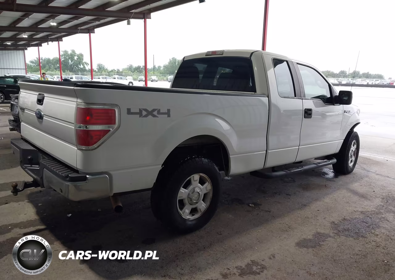 2010 Ford F-150 Stx-Xl-Xlt VIN:1FTEX1E87AFC65633 - 4