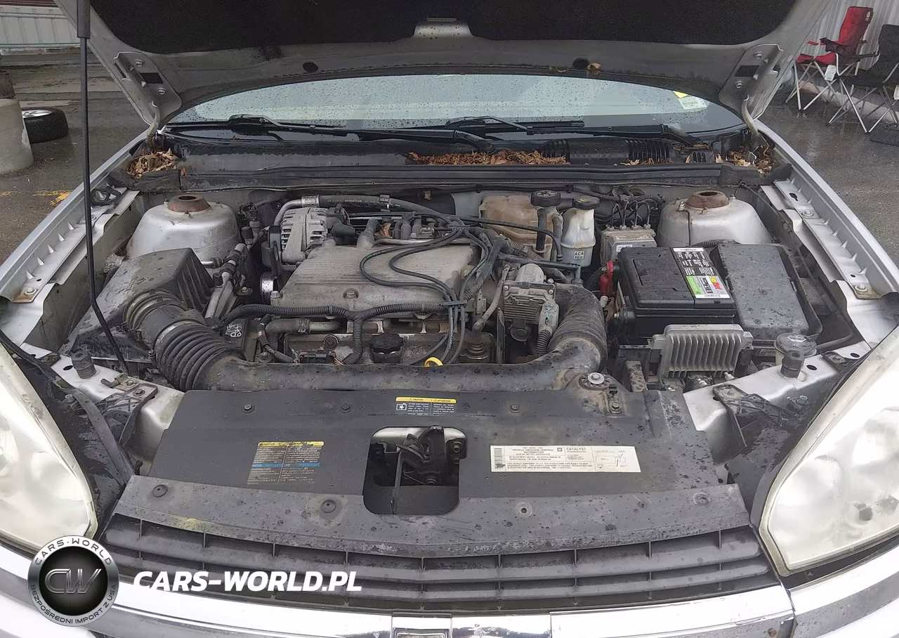 2004 Chevrolet Malibu Maxx Ls VIN:1G1ZT64894F237356 - 10