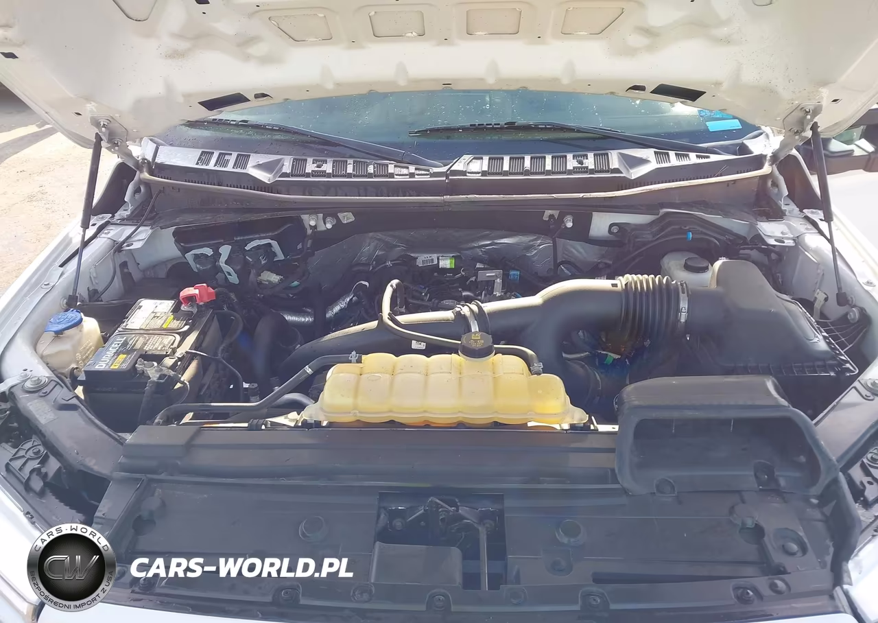 2019 Ford F-150 Xl VIN:1FTEW1EP3KFC42801 - 10