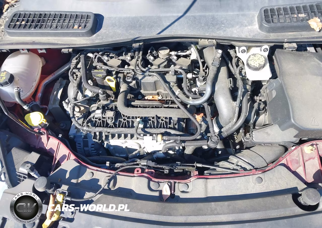 2019 Ford Escape Se VIN:1FMCU9GD0KUB44203 - 10