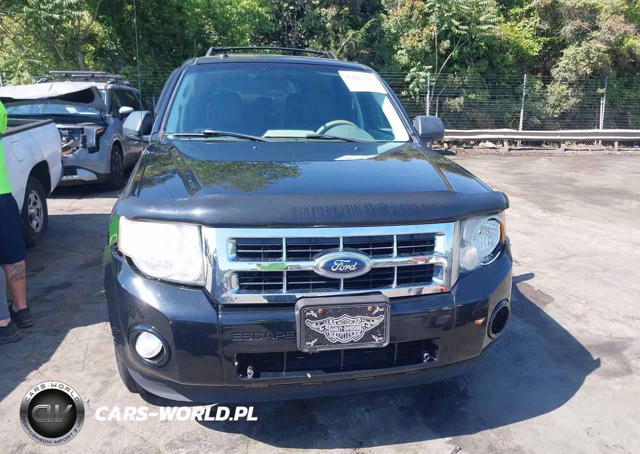 2009 Ford Escape Xlt VIN:1FMCU93GX9KC25148 - 12