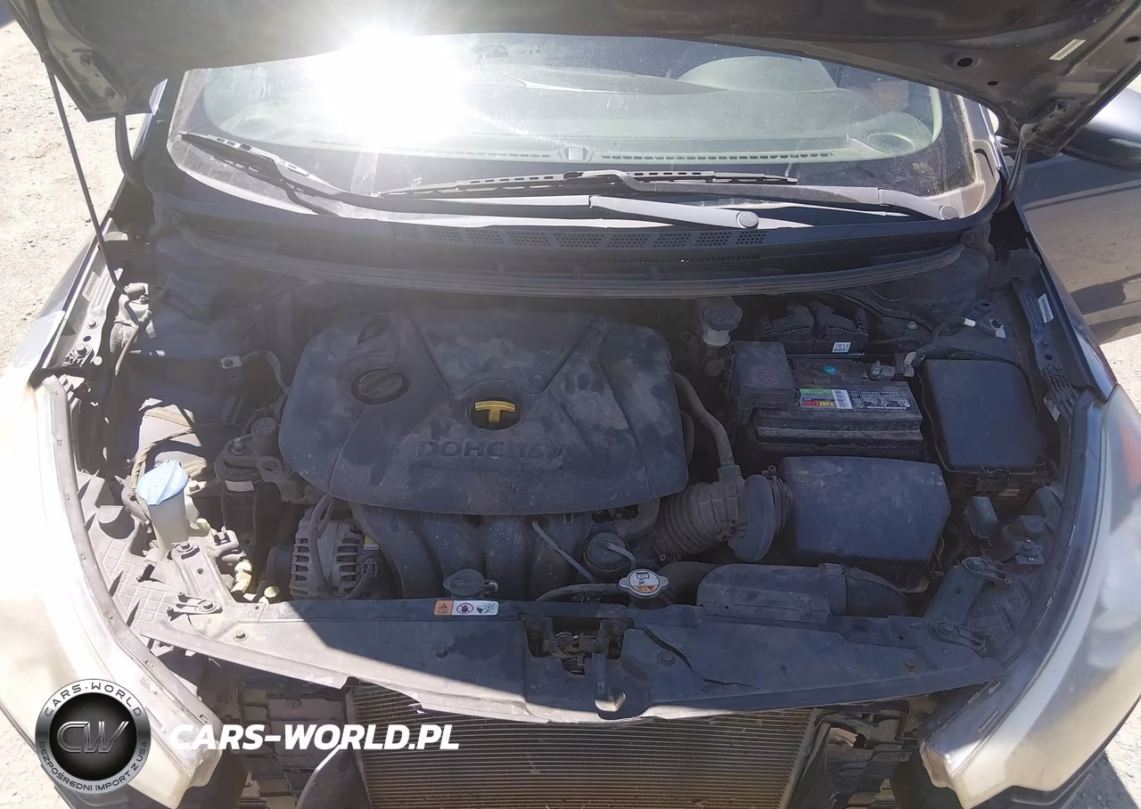 2014 Kia Forte Lx VIN:KNAFX4A65E5217874 - 10