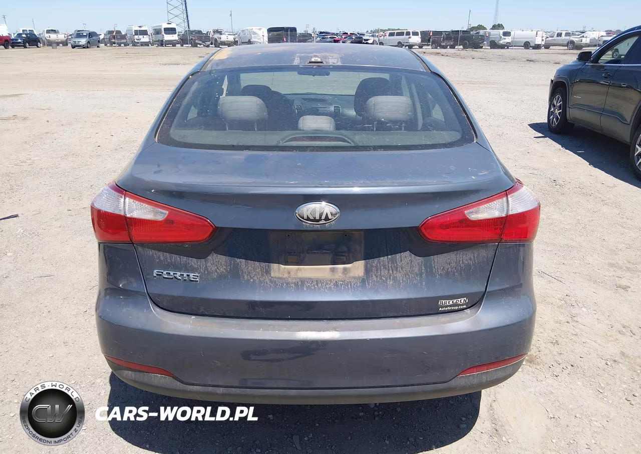 2014 Kia Forte Lx VIN:KNAFX4A65E5217874 - 17