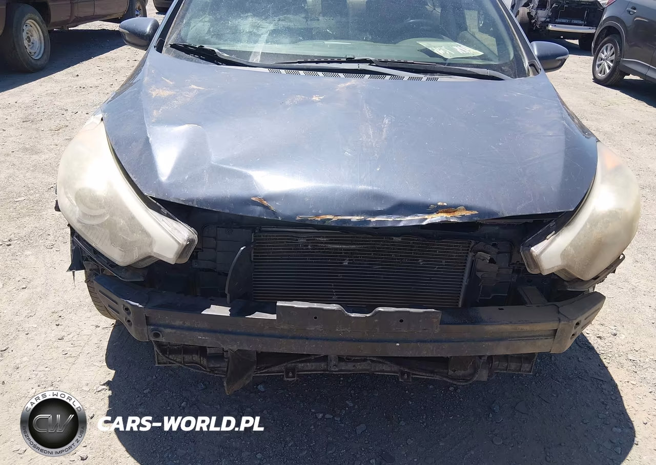 2014 Kia Forte Lx VIN:KNAFX4A65E5217874 - 6