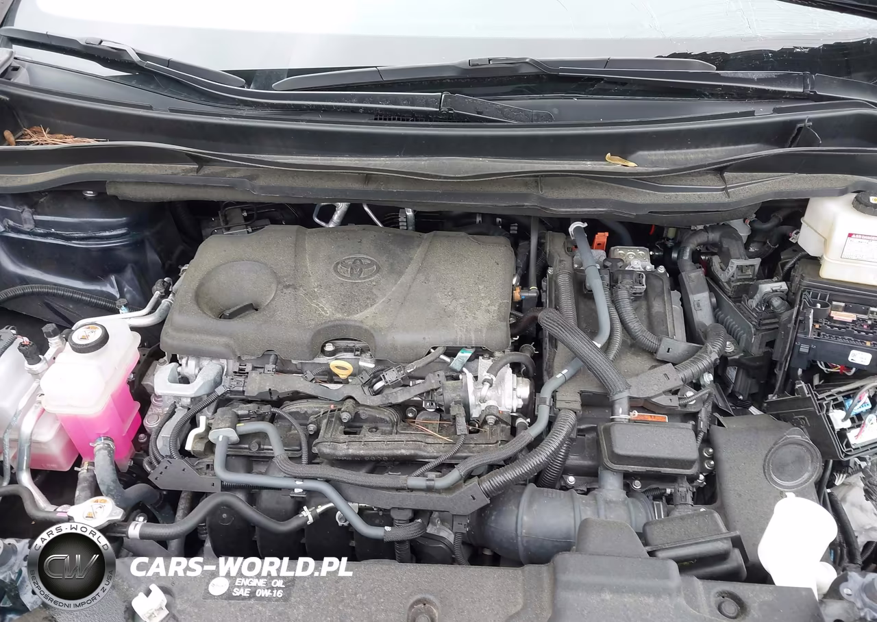 2024 Toyota Sienna Xle VIN:5TDYRKEC2RS203599 - 10