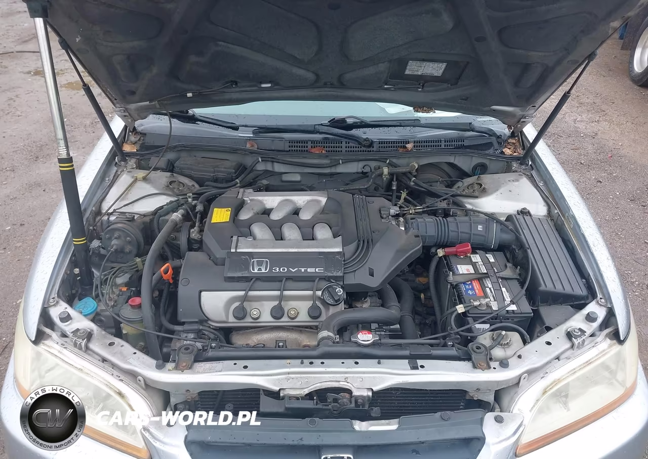 1999 Honda Accord Lx V6 VIN:1HGCG2245XA013594 - 10