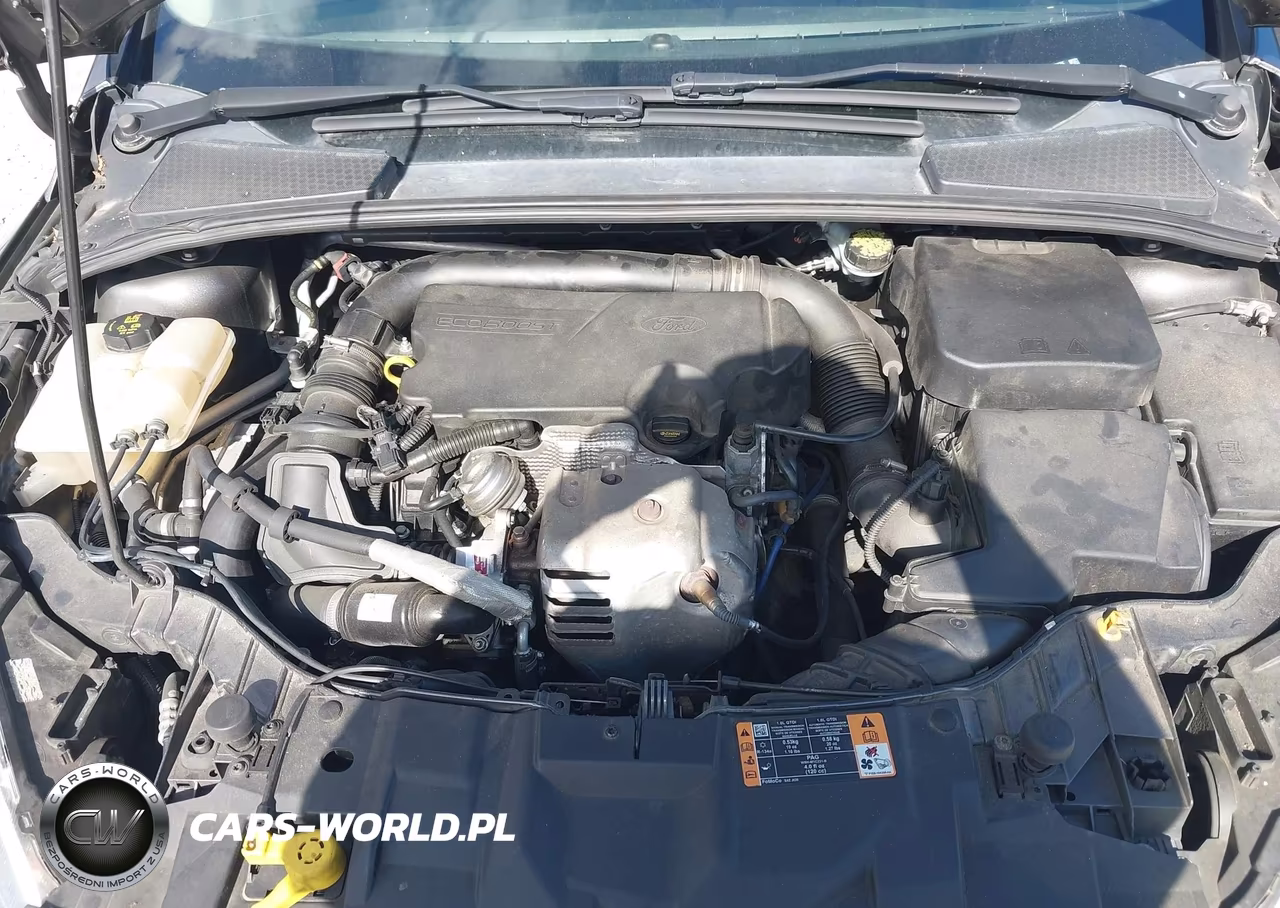 2015 Ford Focus Se VIN:1FADP3FE5FL354675 - 10