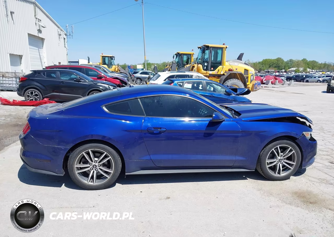 2015 Ford Mustang Ecoboost VIN:1FA6P8TH5F5350098 - 13