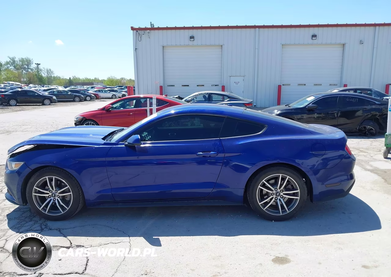 2015 Ford Mustang Ecoboost VIN:1FA6P8TH5F5350098 - 14