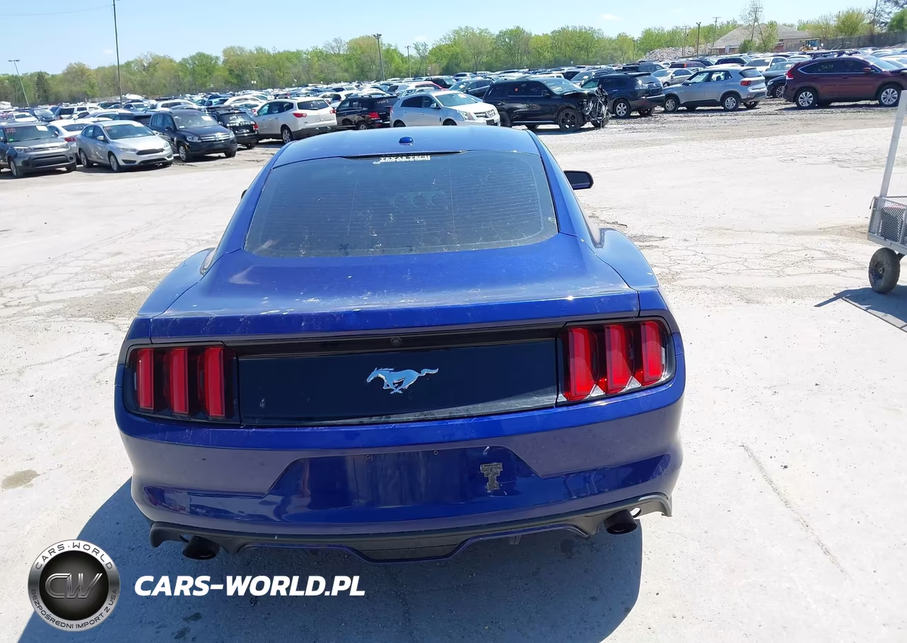 2015 Ford Mustang Ecoboost VIN:1FA6P8TH5F5350098 - 16