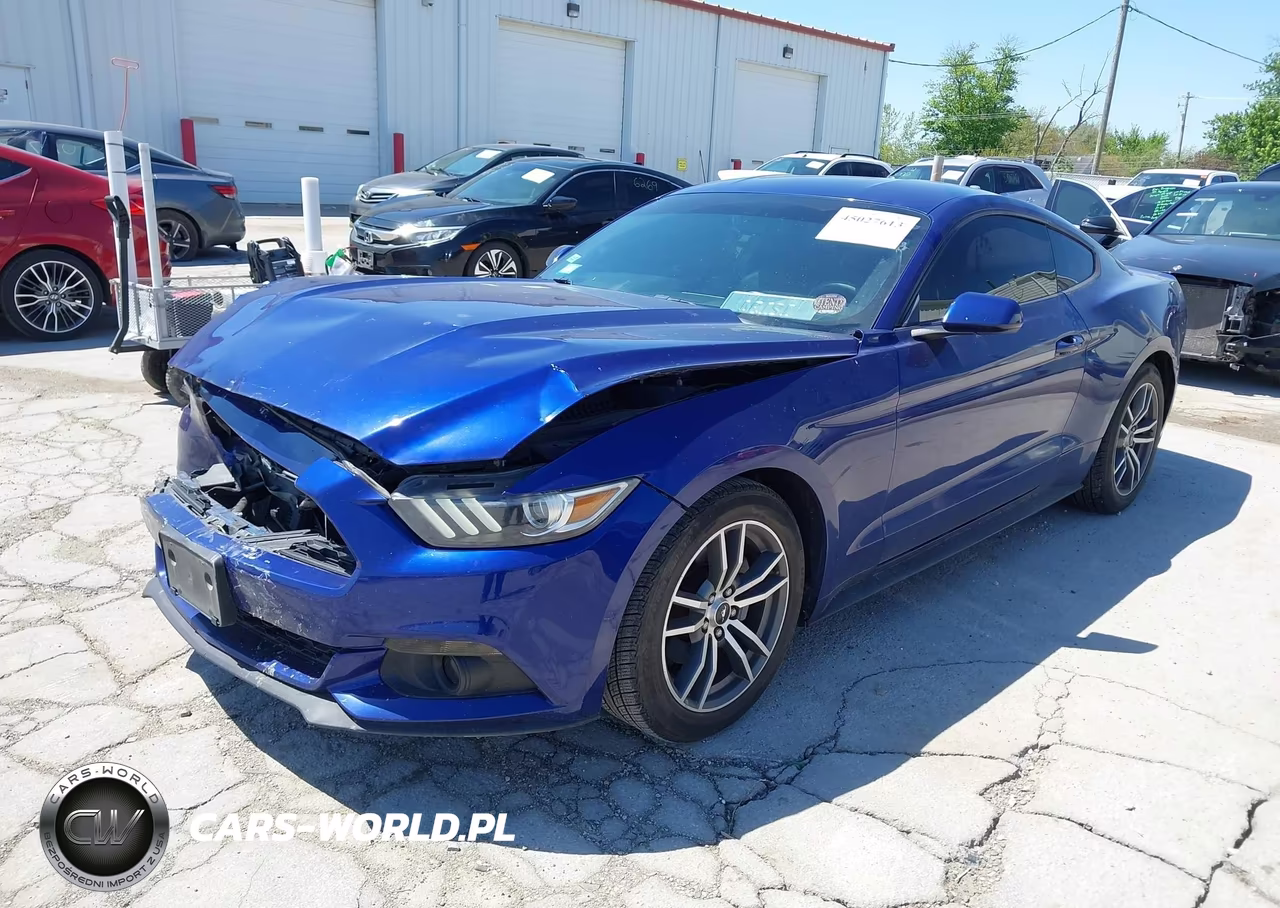 2015 Ford Mustang Ecoboost VIN:1FA6P8TH5F5350098 - 2