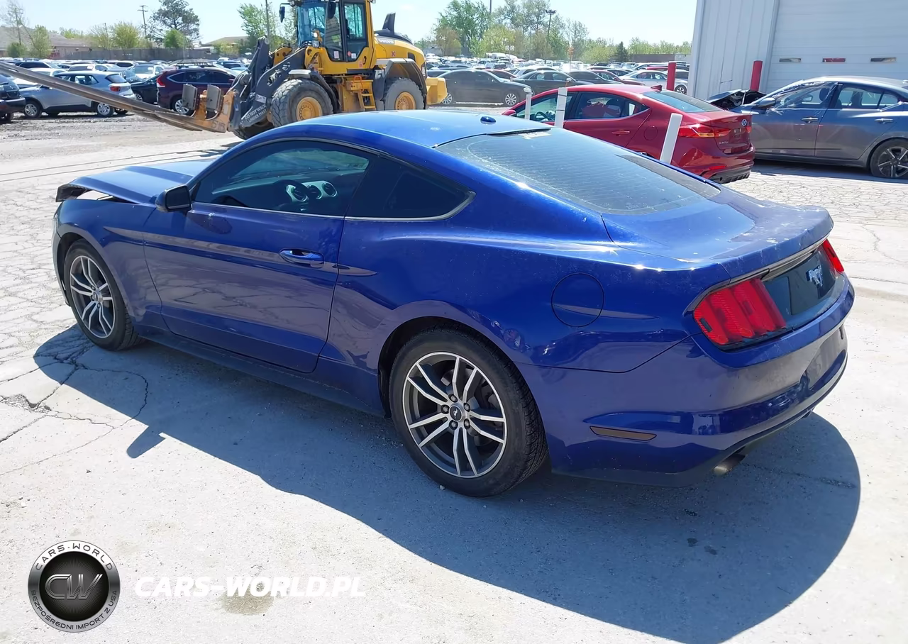 2015 Ford Mustang Ecoboost VIN:1FA6P8TH5F5350098 - 3