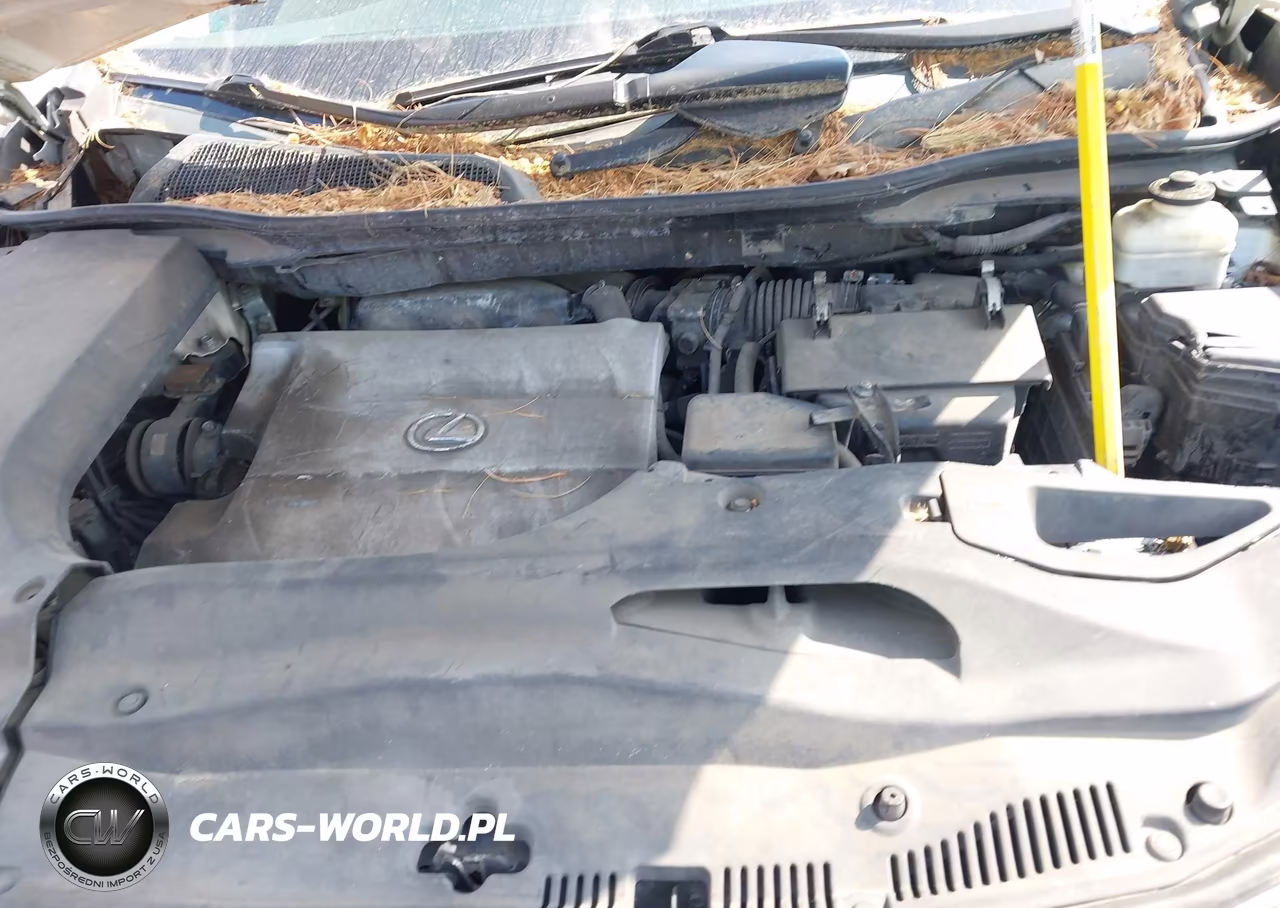 2010 Lexus Rx 350 VIN:2T2ZK1BA4AC020025 - 10