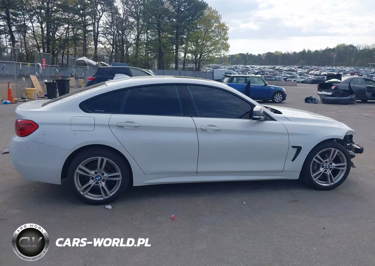 2019 BMW 430I Gran Coupe xDrive VIN:WBA4J3C56KBL09323 - 14