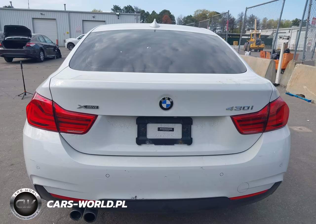 2019 BMW 430I Gran Coupe xDrive VIN:WBA4J3C56KBL09323 - 17