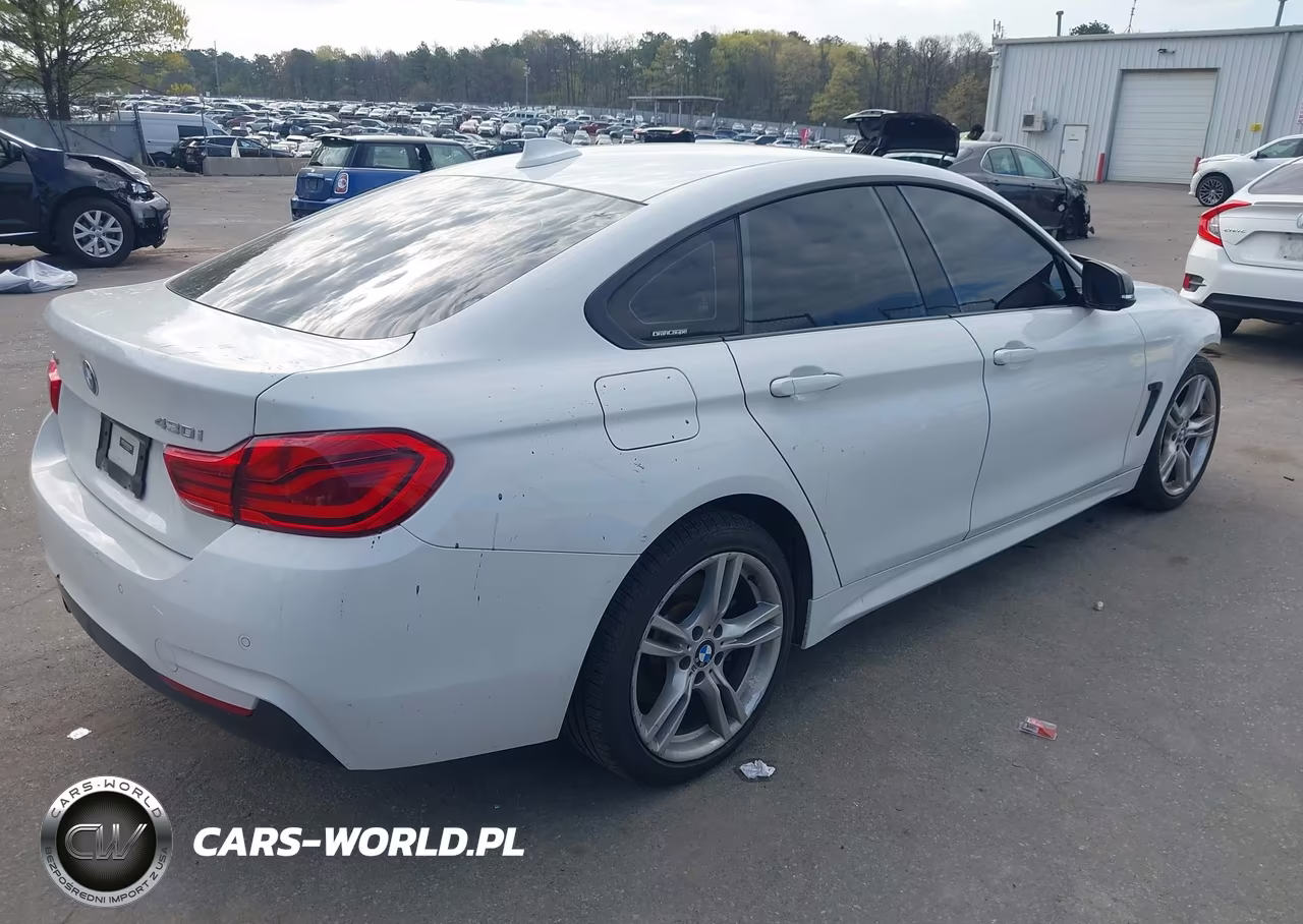 2019 BMW 430I Gran Coupe xDrive VIN:WBA4J3C56KBL09323 - 4
