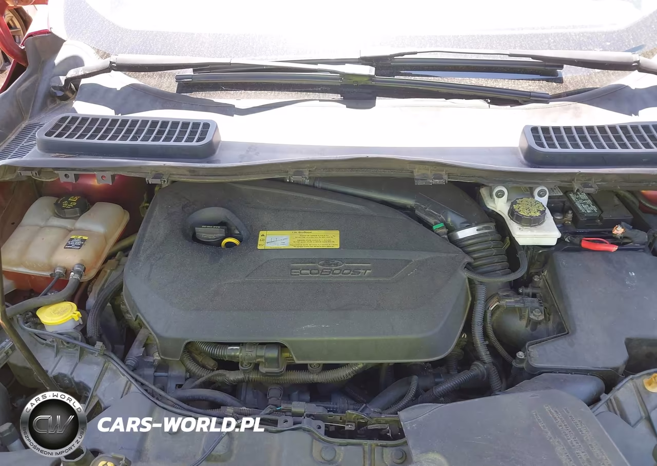 2013 Ford Escape Se VIN:1FMCU0GX7DUC31301 - 10