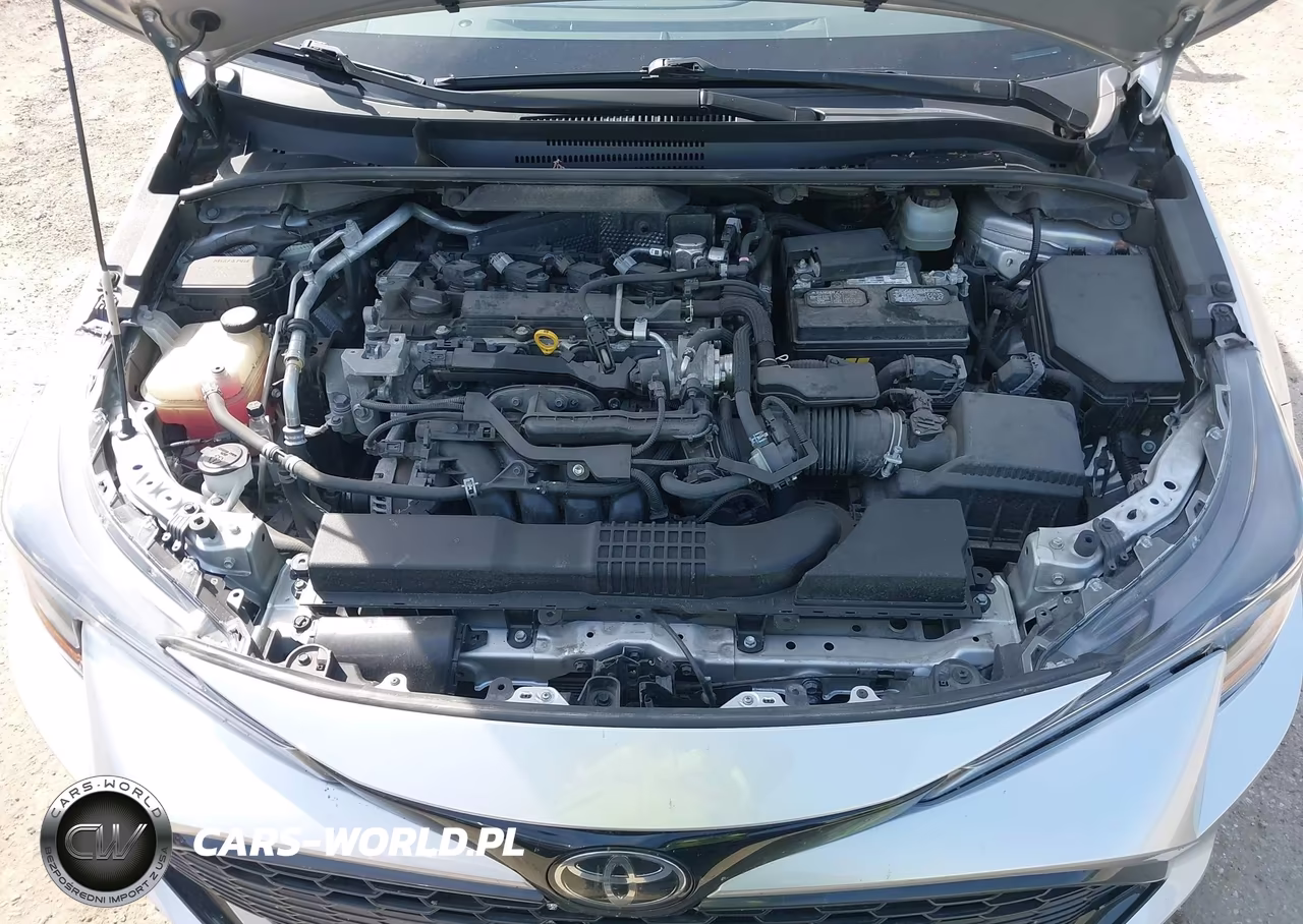 2019 Toyota Corolla Se VIN:JTNK4RBE3K3032822 - 10