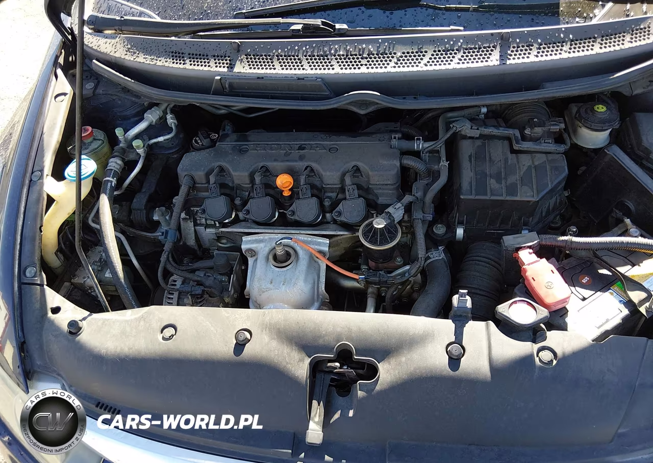 2009 Honda Civic Lx VIN:1HGFA16599L021832 - 10