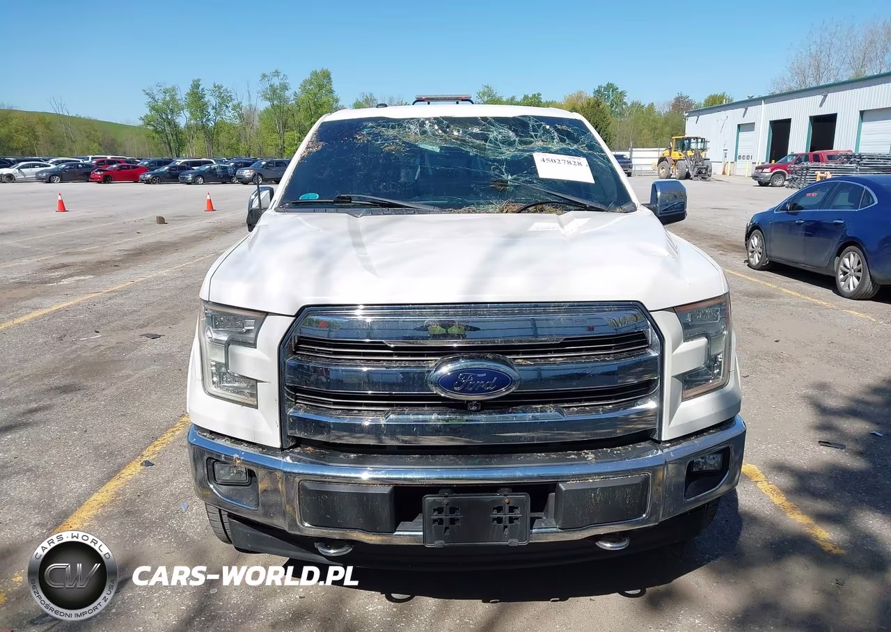 2017 Ford F-150 King Ranch VIN:1FTEW1EG4HFA45810 - 12