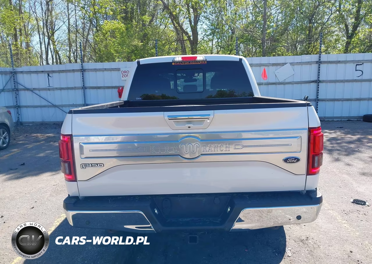 2017 Ford F-150 King Ranch VIN:1FTEW1EG4HFA45810 - 16