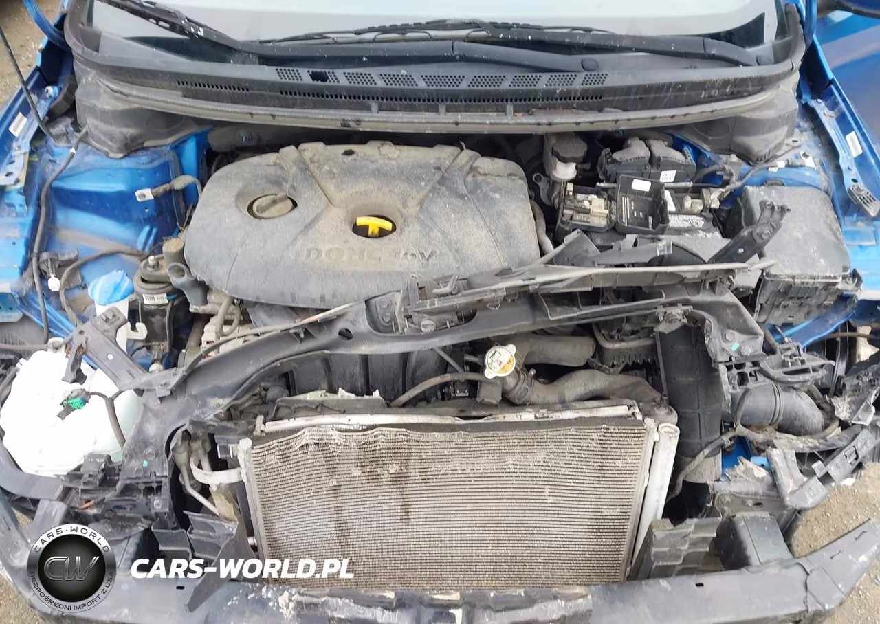 2015 Kia Forte Lx VIN:KNAFX4A63F5284426 - 10